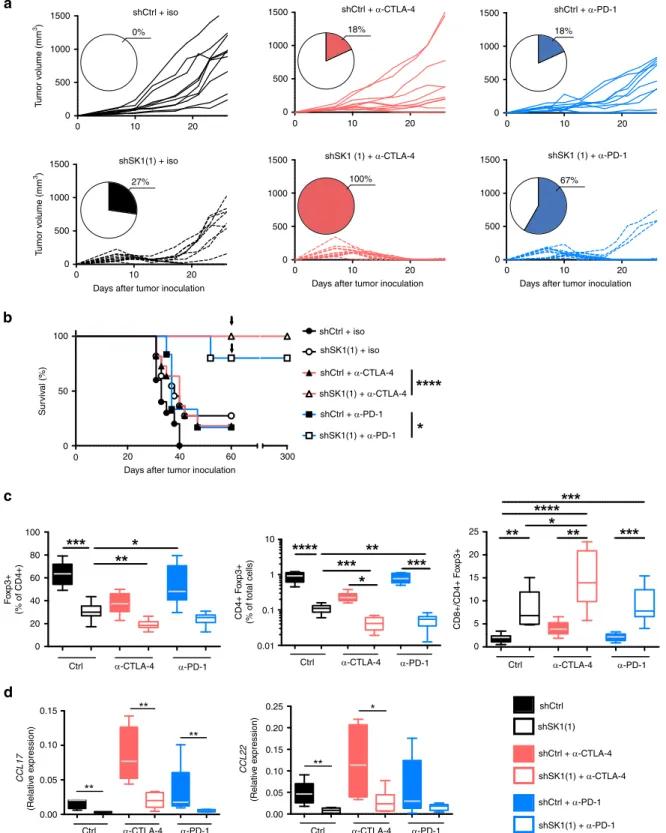Fig. 4 SK1 inhibition enhances the ef ﬁ cacy of anti-CTLA-4 or anti-PD-1 therapy. Control shRNA (shCtrl) or SK1-targeted shRNA (shSK1(1)) Yumm cells were injected on day 0, and then mice were treated with isotype (iso) control antibody (black lines; shCtrl