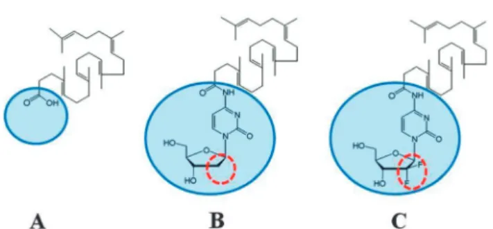 Fig. 2 Schematic representation of the two step process of squalenoyl nanoparticle formation.