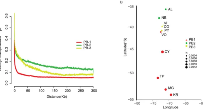 Fig 2. Phylogeny of S. eubayanus. (A) Maximum likelihood tree depicting genetic relationships between 104 strains using 606,656 biallelic SNPs