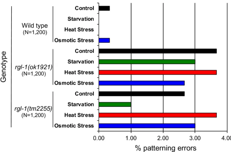 Fig 6. Deletion of RGL-1 increases patterning errors but not susceptibility to environmental stress