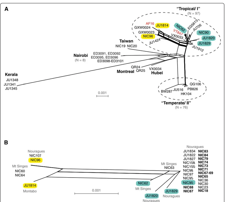 Figure 5 Neighbour-network based on the concatenated sequences of six nuclear loci depicting the relationships among C