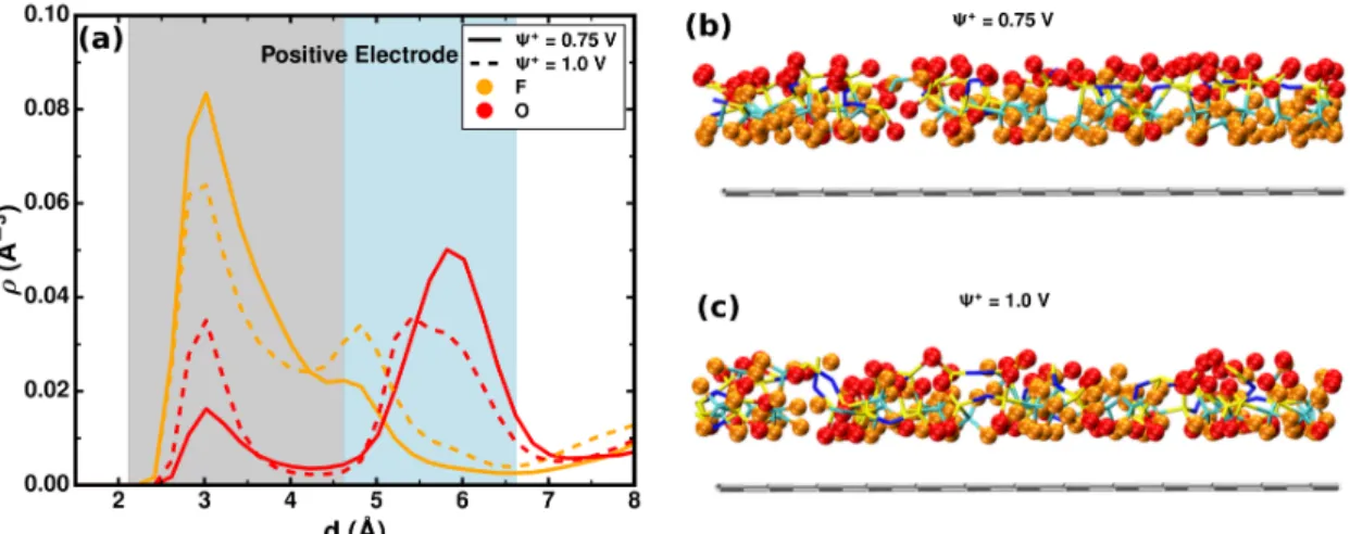 Figure 6: (a) Density profiles of O and F from TFSI anions as a function of distance from the positive electrode at Ψ + = 0.75 and 1.0 V (∆Ψ = 1.5 and 2 V)