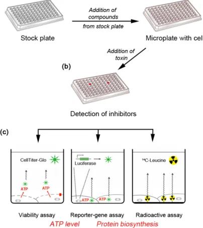 Figure 1. High-throughput cell-based assays. These phenotypic assays measure the effects  of small-molecule compounds on cellular cytotoxicity induced by ricin