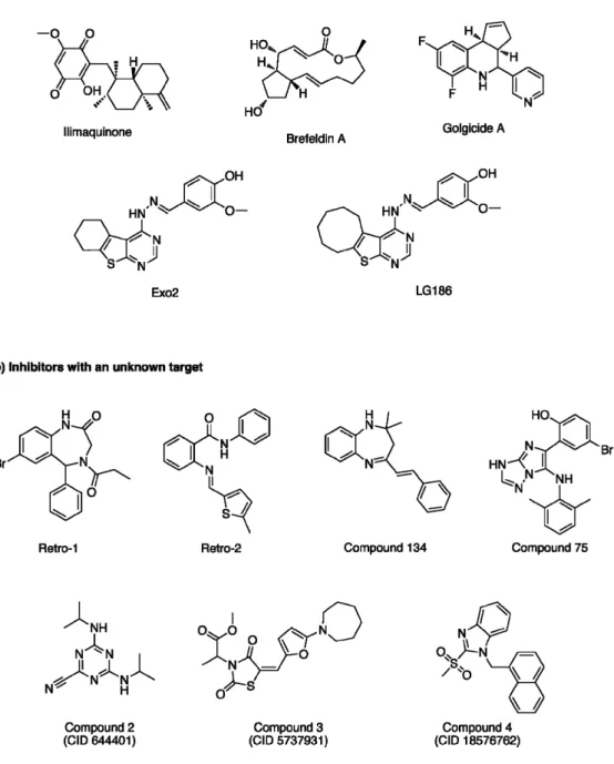 Figure 2. Chemical structures of the known cellular inhibitors of ricin and Shiga toxins