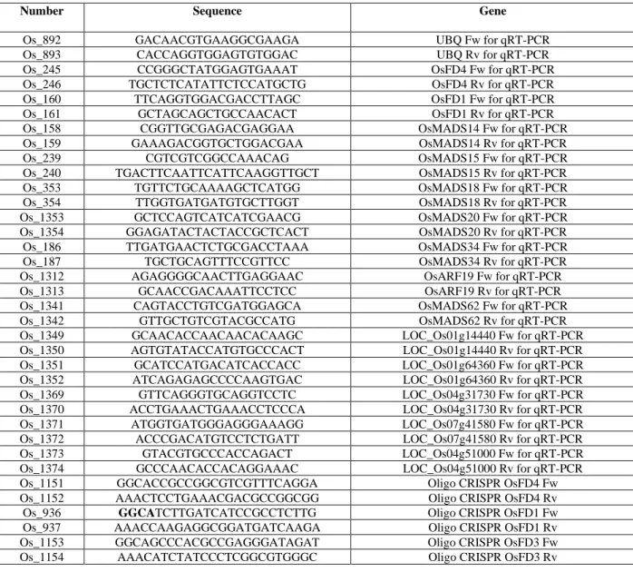 Table S1 Sequences of oligonucleotides used in this study. 