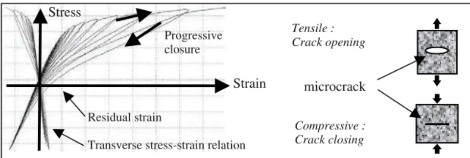 Figure 2 describes the two last phenomena. The model we have been using is the strain ODM scalar model [8]