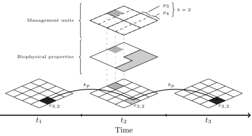 Fig. 1. Schematic representation of the spatial and temporal aspect of the decision- decision-making problem (t i : year, b: block, p j : plot, x b,i : landunit, k p : preceding effect)