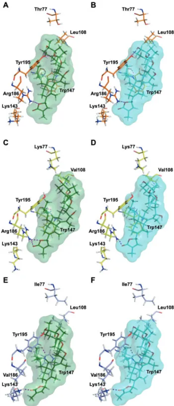FIG. 8. Representative protein-ligand interactions in the docking complexes of 13-SPX-C (A, C, and E), and 13,19-SPX-C (B, D, and F) with 3 nAChRs subtypes : human a7 (A and B, a7-a7 interface), human a4b2 (C and D, a4-b2 interface), and Torpedo a1 2 b1cd 