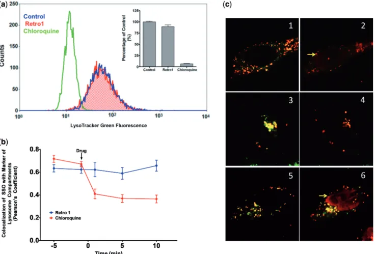 Figure 7. Retro-1 does not affect lysosomes. (a). Retro-1 does not affect accumulation of a lysosomotropic dye