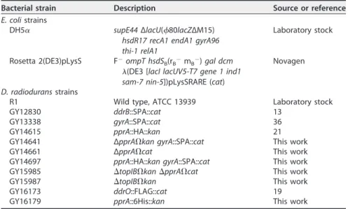 TABLE 2 Bacterial strains