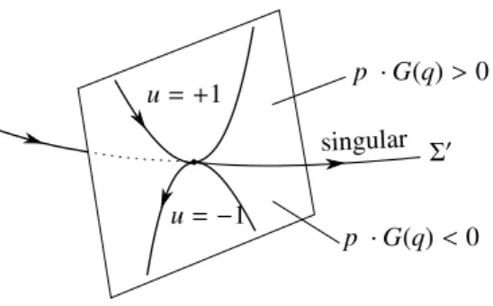Figure 2: Fold case in the hyperbolic case in dimension 2 and the turnpike phenomenon