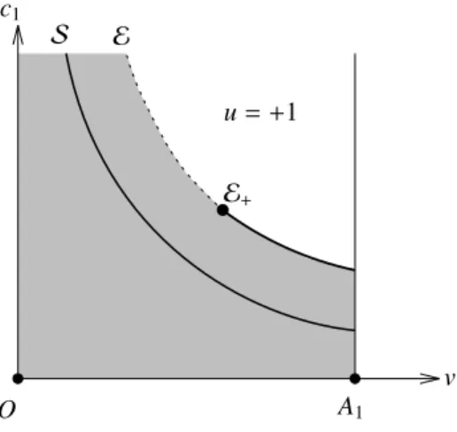 Figure 15: Stratification of the terminal manifold N for α &lt; 1. Non-accessible points are in the filled region and on the dotted-line of E.
