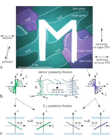 Figure 9. Fr´eedericksz transition driven by the electric field in the twisted nematic display