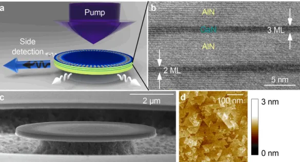 Figure 1.  Structural properties of the nitride-on-silicon microdisks. (a) Schematic view of a microdisk