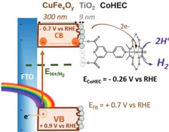 Fig. 1 Scheme of electron pathway on CuFe x O y |TiO 2 -CoHEC photo- photo-cathode and energy potentials.