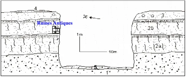 Figure 2 - Coupe de Borj La Gare sur l'oued Tarfaoui. 