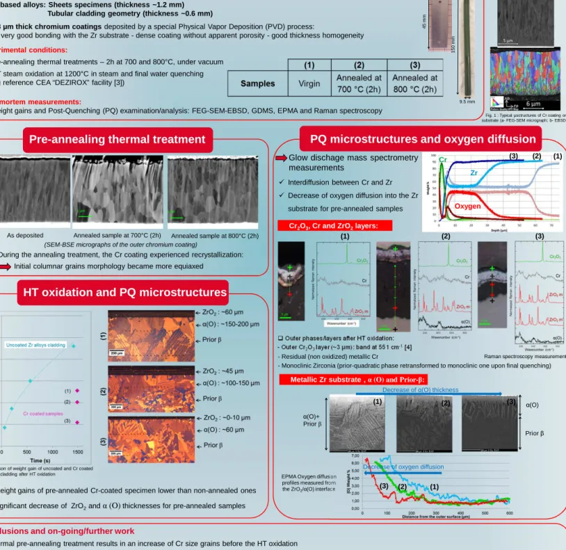 Fig. 1 : Typical µsctructures of Cr coating on Zr  substrate (a- FEG-SEM micrograph;  b- EBSD map)