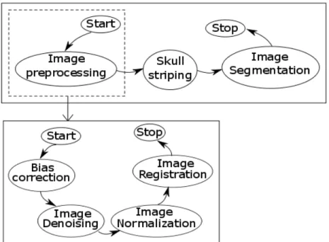 Figure 2 : Intentional representation of image analysis pipeline 