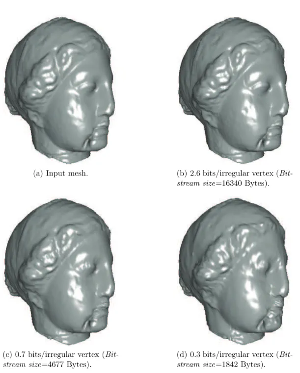 Fig. 12. Renderings of different compressed versions of Venus .