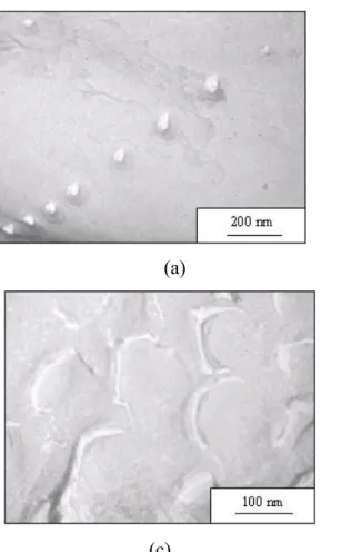 Figure 3: TEM analysis of copolymers (a)  PB 48 -b-PGA 145  (b) PB 48 -b-PGA 114  and (c)  PB 48 -b-PGA 56 