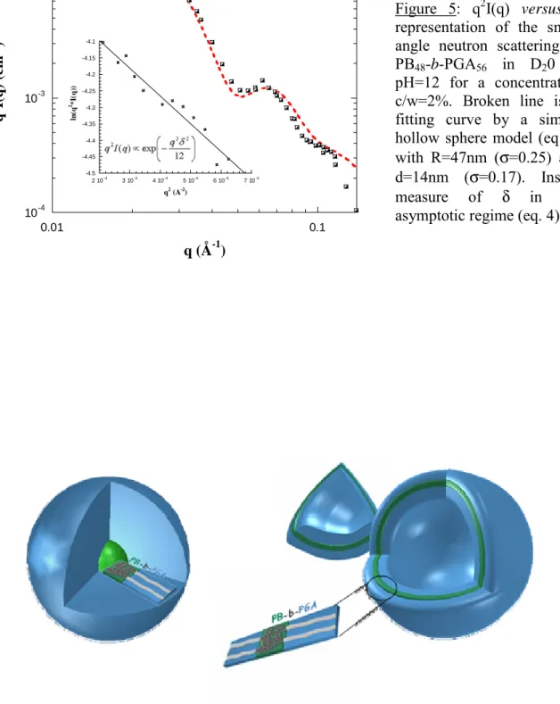 Figure 6: Schematic representation of micelles and vesicles obtained from the self- self-assembly of the polypeptide based diblock PB-b-PGA copolymers in water