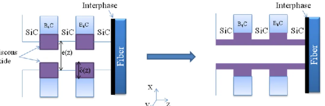 FIGURE 1.  Spreading at regular time intervals of the viscous oxide along the surfaces of the crack 