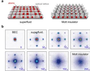 Fig. 4: Quantum simulation in optical lattices. a. The ground state of a system of bosons in an optical lattice changes from a superfluid at weak interactions to a Mott insulator at large  in-teractions, with localization of single atoms in the lattice sit