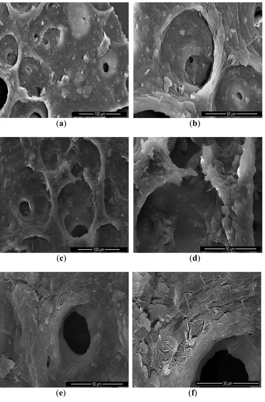 Figure 2. (a,b) Scanning electronic microscopy SEM scan at 30 kV of native microalgae  Chlorella vulgaris, magnification_400 and 1000 on original picture scale, 3.6  mm total  picture width; (c,d) SEM scan at 30 kV of microalgae Chlorella vulgaris after mi