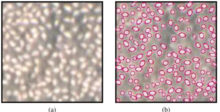 Fig. 6: (a) Current configuration ω [n] in green. (b) Proposed dense configuration Γ. (c) Selected ω [n] from the candidates of Γ