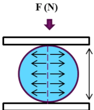 Figure 3 : Schematic illustration of Brazilian test principle. 