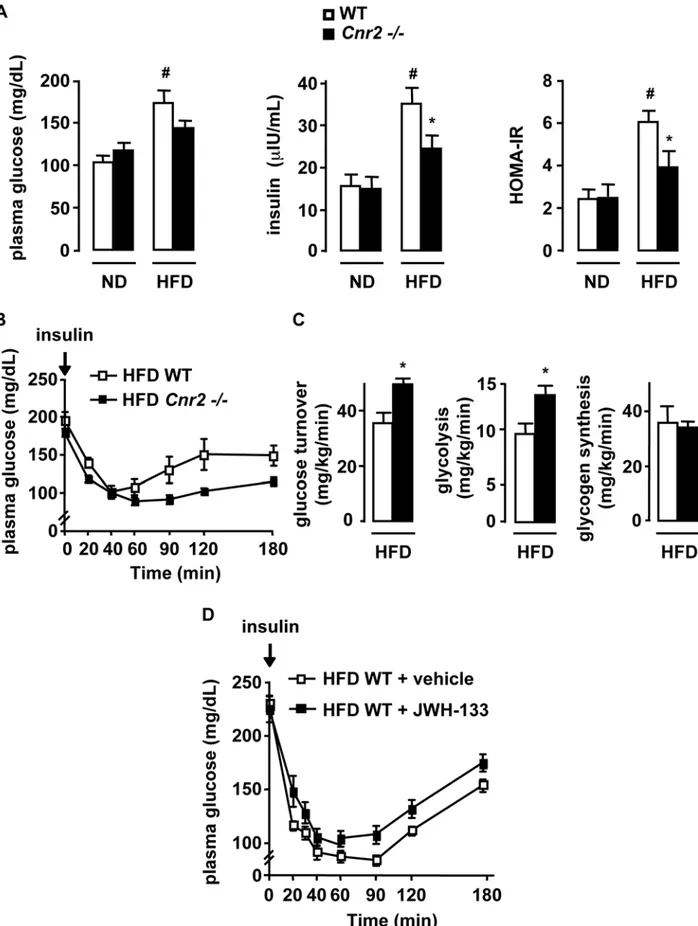 Figure 5. CB2 receptors potentiate insulin resistance in HFD-fed mice. A–C, Cnr2 knock-out reduces obesity-induced insulin resistance
