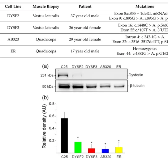 Table 1. Description of the immortalized human skeletal myoblasts used in this study.