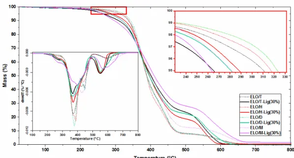 Figure 7: TGA and DTG (bottom left corner) curves as a function of temperature for resins and composites,  heating at 10 °C/min, under air flow 