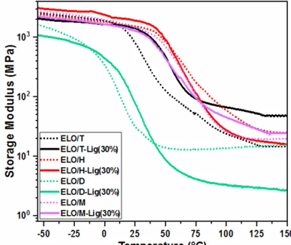 Figure 4: Storage modulus (E’) curves of ELO/anhydride resins and composites with 30 wt% lignin 