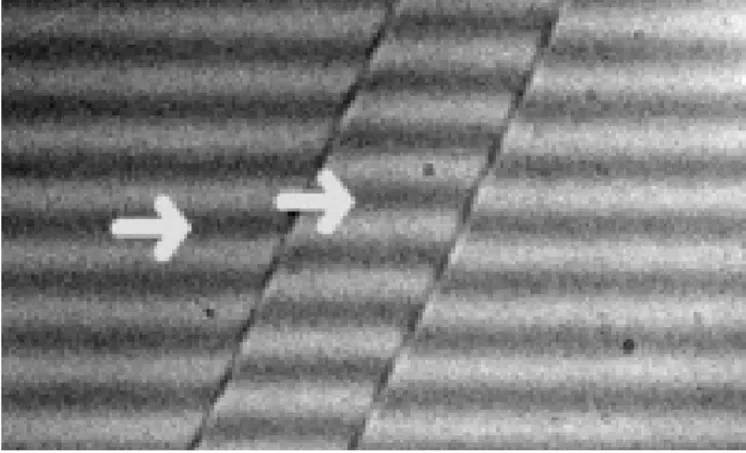 Fig. 1. Theoretical intensity distribution in the pupil plane (left) and in the image plane (right) for a finite field of view.