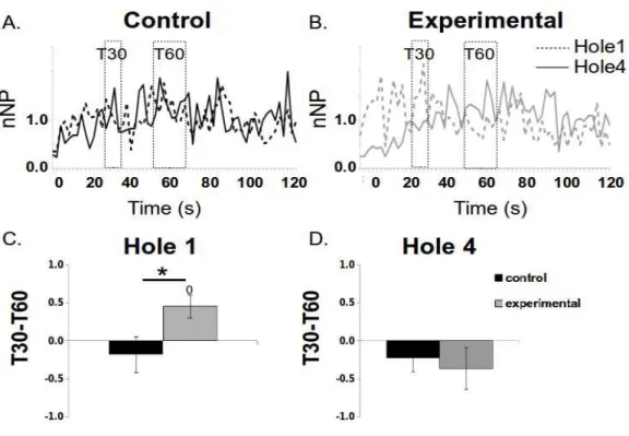 Figure 4: Spatio-temporal binding 