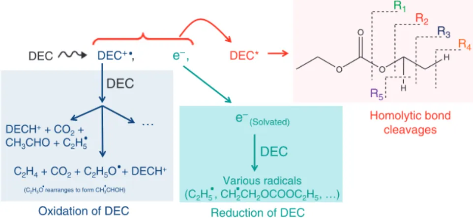 Figure 7 | Different reactive channels of the radiolytic processes. The main channel, represented with the red colour, leads to the formation of the excited DEC molecule 27 , in which various homolytic bond cleavages (R1, y , R5) take place
