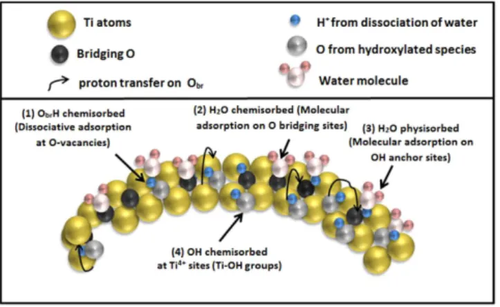 Figure 9.  Schematic diagram of the proposed adsorption mechanisms at the surface of a TiO 2