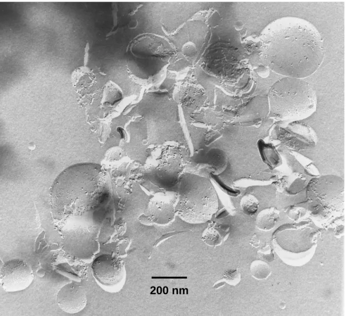 Fig A. Freeze fracture electron microscopy