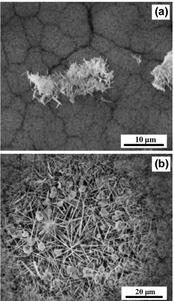 Fig. 7  SEM observations of coating B(Al)N2 surface after oxidation under wet air (10 kPa H 2 O, 70 kPa N 2 , 20 kPa  O 2 ) for 1h15 at 1000 °C showing (a) small and (b) large crystals of compound Al 4 B 2 O 9   
