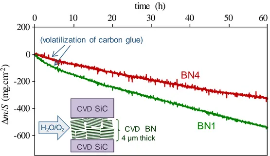 Fig. 8  Specific mass variation of multilayer coatings SiC/BN1/SiC and SiC/BN4/SiC on cellular substrates in wet  air  (10 kPa  H 2 O,  70 kPa  N 2 ,  20 kPa  O 2 )  at  800 °C  (oxidation/corrosion  parallel  to  the  BN  basal  planes)