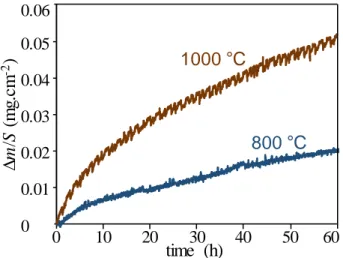 Fig. 2  Specific mass variation of SiC coatings on cellular substrates in wet air (10 kPa H 2 O, 70 kPa N 2 , 20 kPa O 2 )  at 800 °C (surface = 2.64 cm 2 ) and 1000 °C (surface = 3.46 cm 2 ) 
