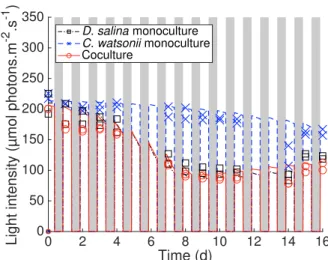 Fig. 4. Light in monocultures and cocultures (lines: theo- theo-retical data, symbols: experimental data)