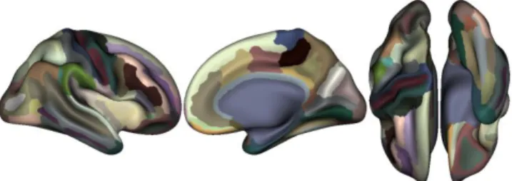 Figure 1. Destrieux brain atlas parcellation. 