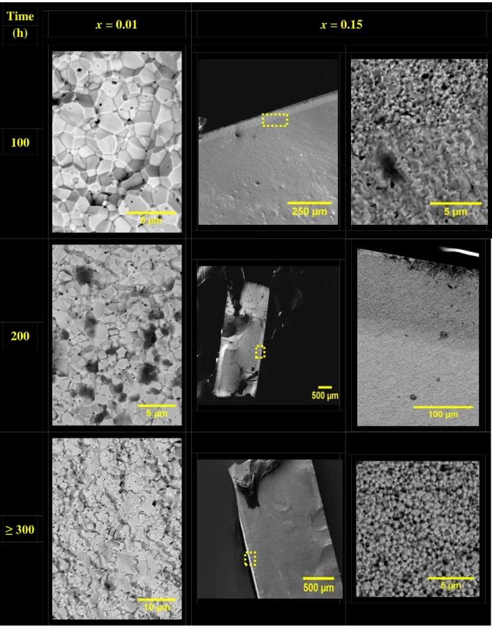 Figure 3. SEM observations of Th 0.99 Y 0.01 O 1.995  (1700°C - 8h) and Th 0.85 Y 0.15 O 1.925  (1600°C -  8 h) pellets obtained after corrosion in liquid sodium at 500°C for various durations