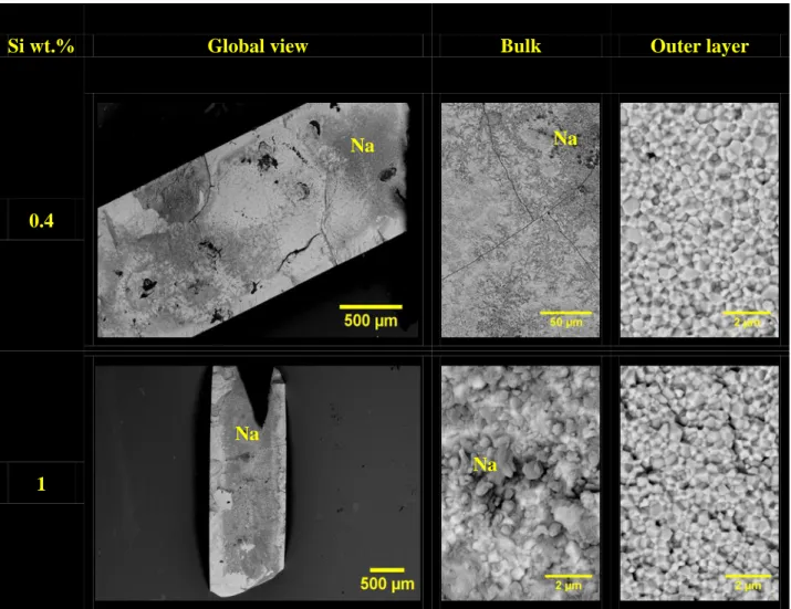 Figure 6. SEM micrographs of Th 0.85 Y 0.15 O 1.925  pellets fractured after corrosion tests in liquid  sodium at 500°C for 500 hours