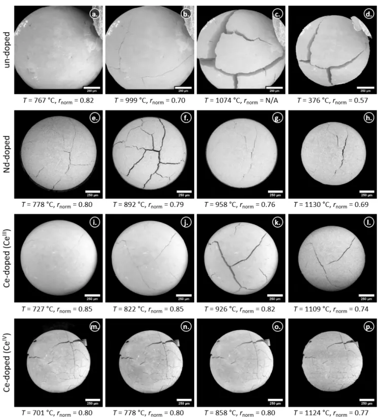 Figure 7: Micrographs of the un-doped and doped particles during the sintering in reducing atmosphere