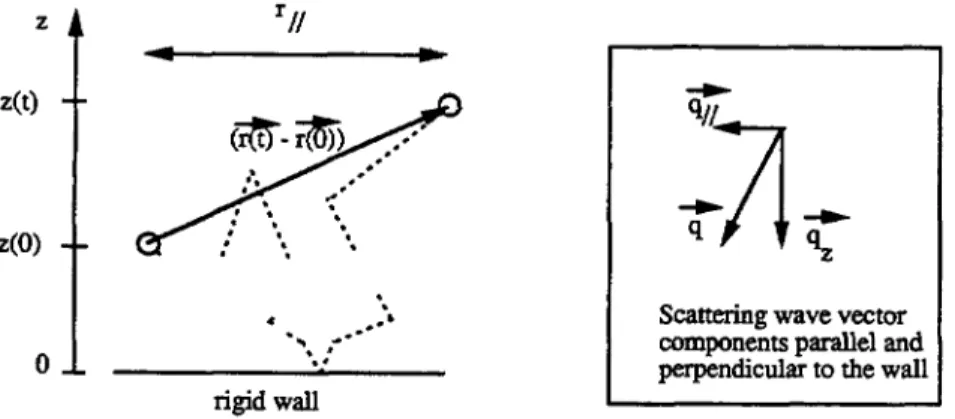 Fig. 5. Brownian walker in the vicinity of a wall showing the position dependent step and the nfirror effect of the wall.