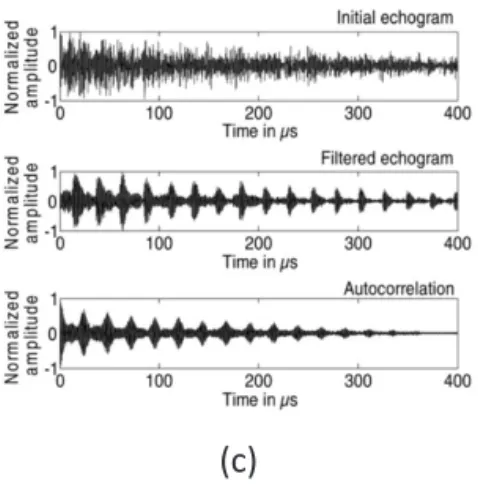 Fig. 1 : REMORA acoustic gas sensor. (a) Schematic representation [1].  (b) Sensor overview [2]