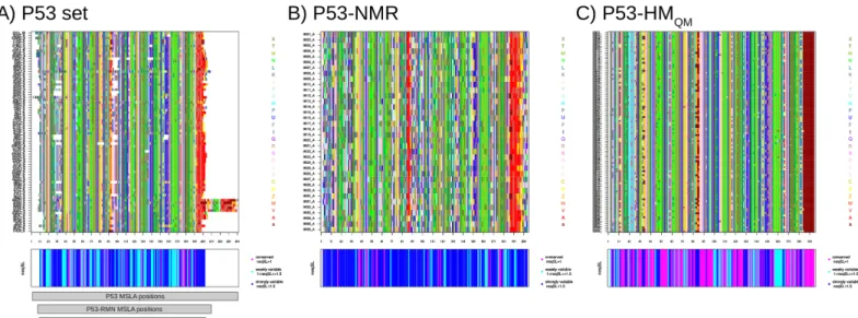 Fig 7. Visualization of the structural variability of three subsets associated with the p53 DBD: For the P53 (A), P53-NMR (B), and P53-HM QM (C) sets